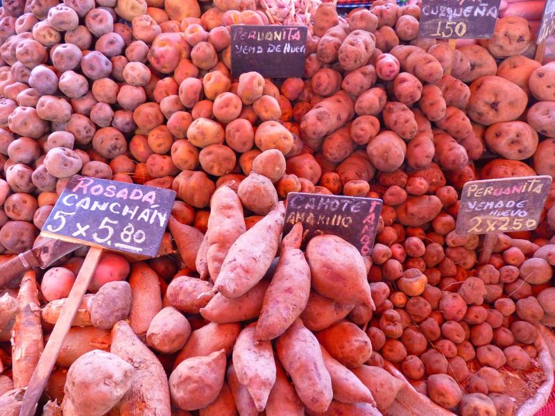 Potatoes on sale at a market in Peru