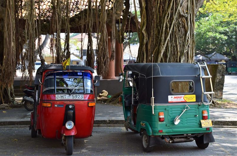 Tuk-tuks-by-Banyan-trees-Sri-Lanka-1024x676.jpeg