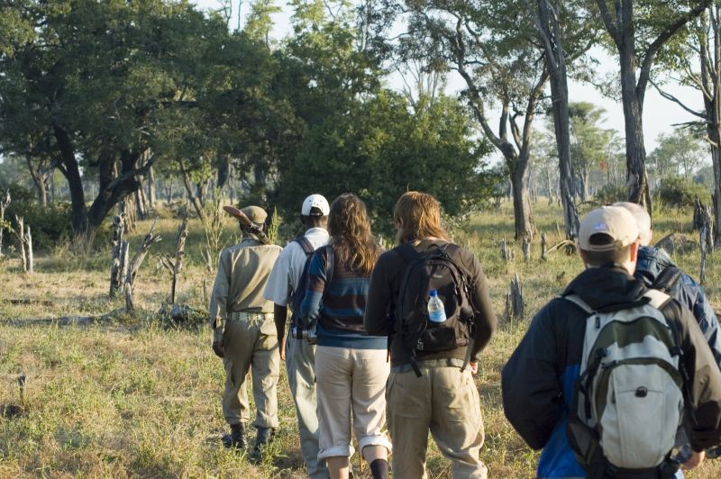 Walking safari with ranger, Zambia