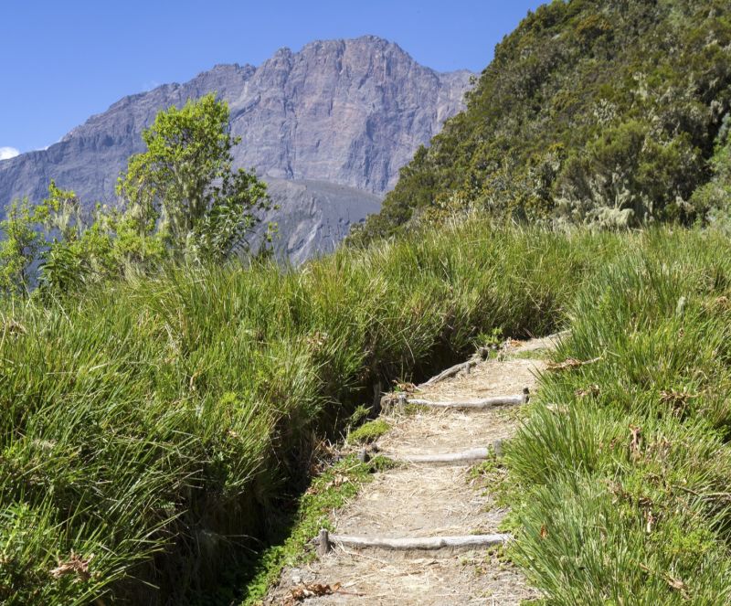Ascending dirt trail or footpath Mt Meru near Arusha in Tanzania