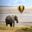 Sunrise over the Masai Mara, with a pair of low-flying hot air balloons and a herd of wildebeest below in the typical red oat grass of the region