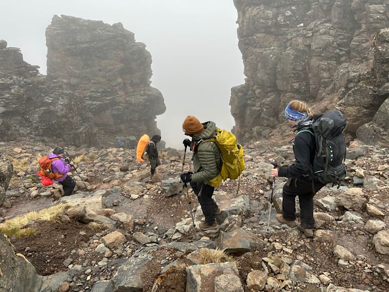 Trekkers on misty descent to Barranco Camp on Lemosho route, Kilimanjaro