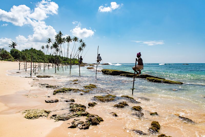 Stilt fisherman on the South Coast of Welligama