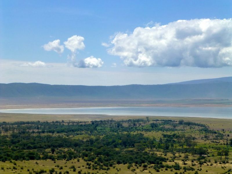 Lake Magadi and Lerai Forest, facts about Ngorongoro Crater