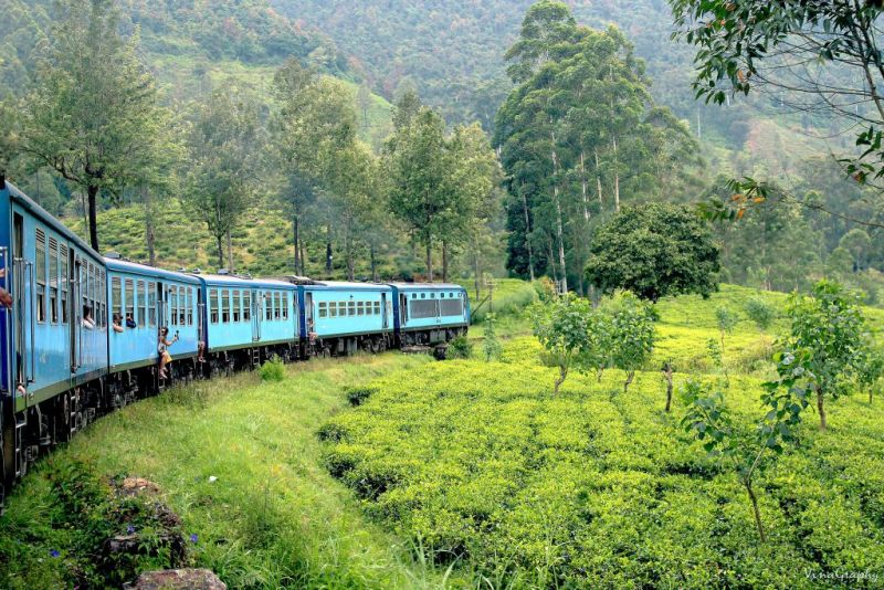 train in Sri Lanka