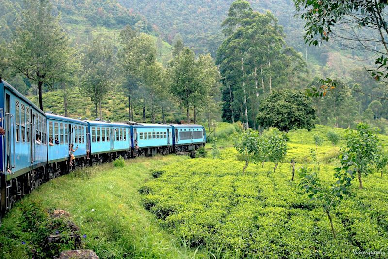 train in Sri Lanka