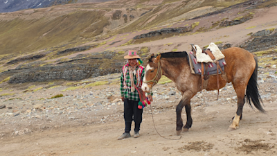 Man with horse