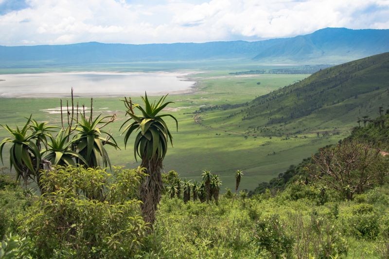 Ngorongoro Crater rim walk with Lake Magadi landscape in distance
