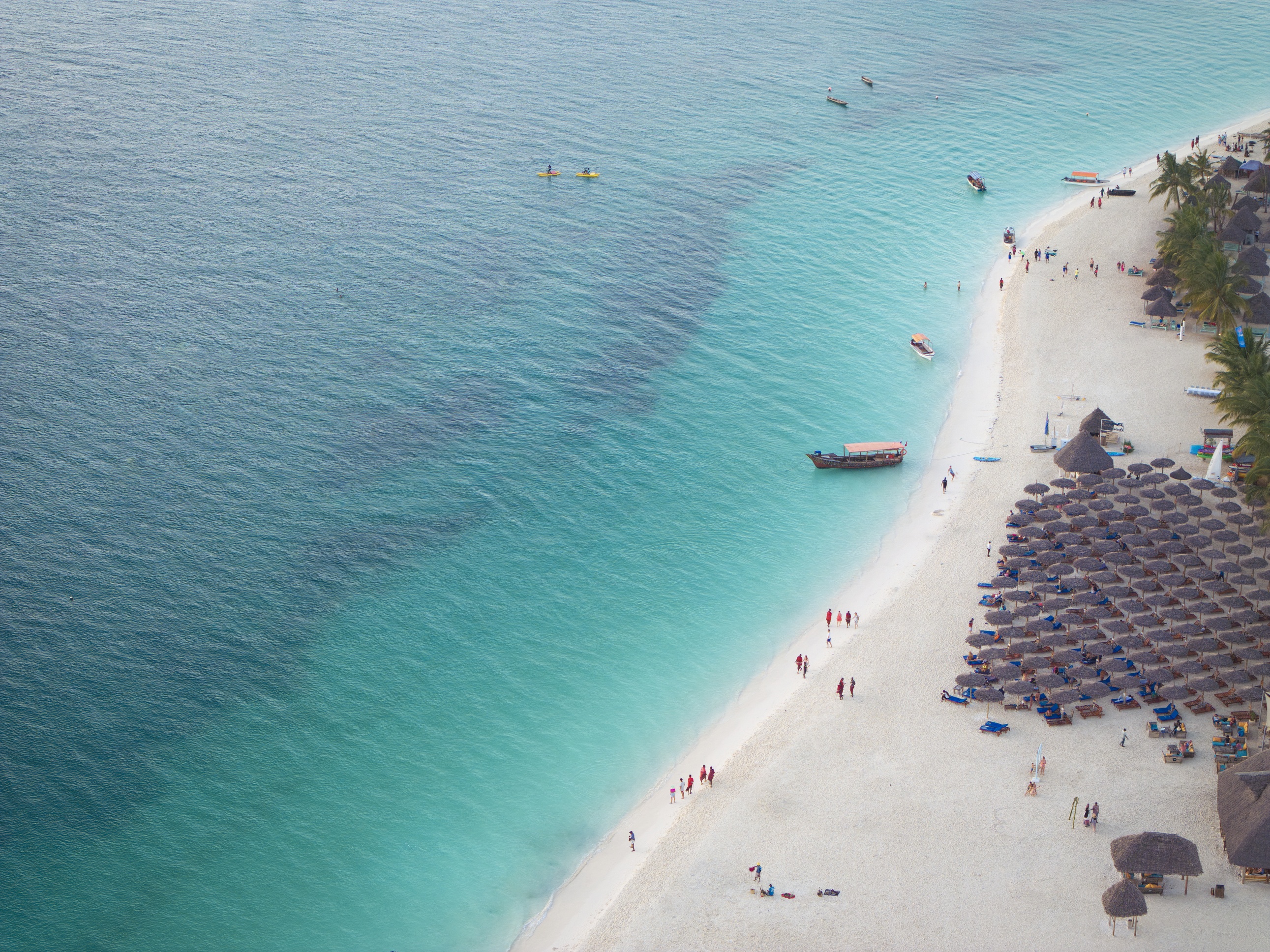 Aerial view of Kendwa Beach, with lots of thatched beach umbrellas, Zanzibar, Tanzania