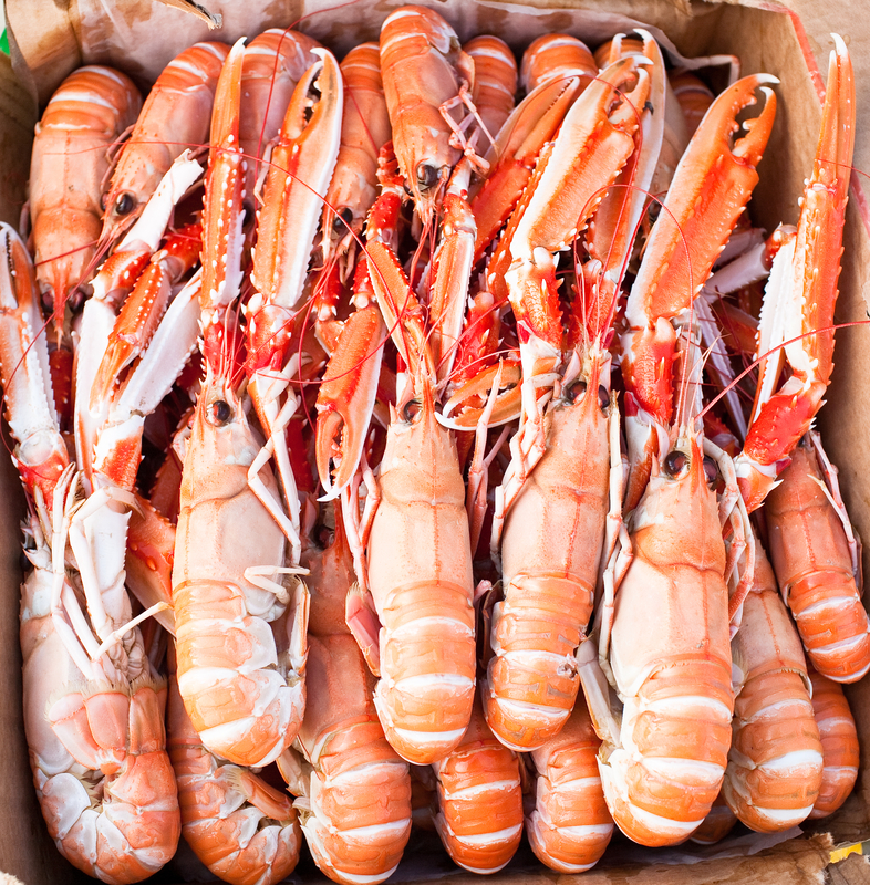 Langoustine, sometimes called Norway lobster is a true delicacy