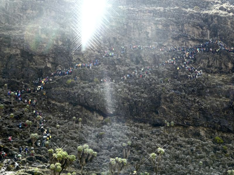 Barranco Wall line of trekkers on Kilimanjaro 