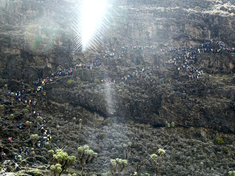 Barranco Wall line of trekkers on Kilimanjaro