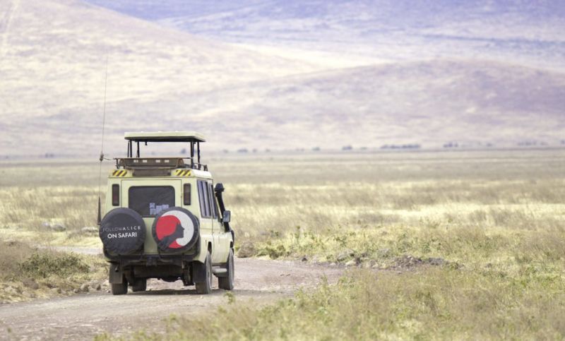 Adventure safari drive in Africa
