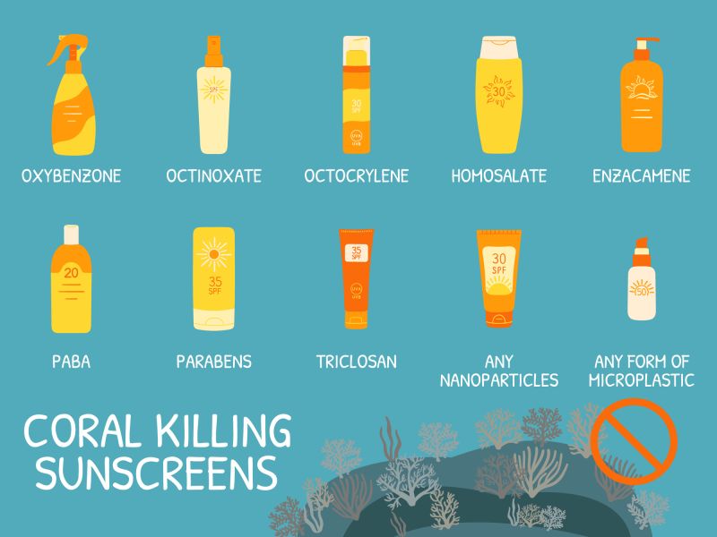 Ours. Coral-killing-sunscreens-infographic