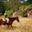 Ranger on horse by giraffes African horse riding safari