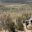 Moorland and the Saddle on Kilimanjaro