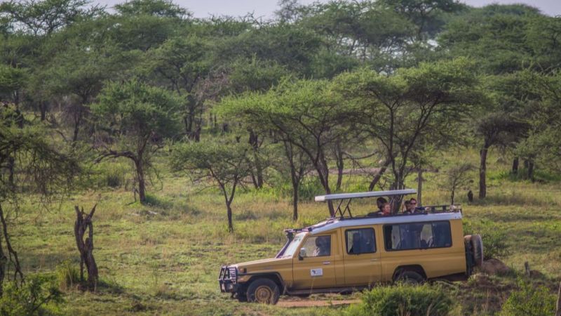 Safari vehicle in the Serengeti, what is the Serengeti famous for?