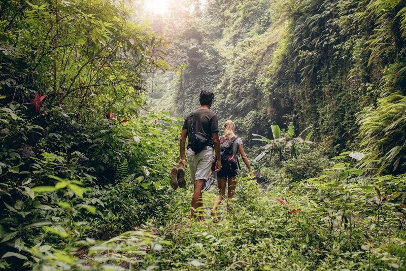 A couple walking through the rainforest
