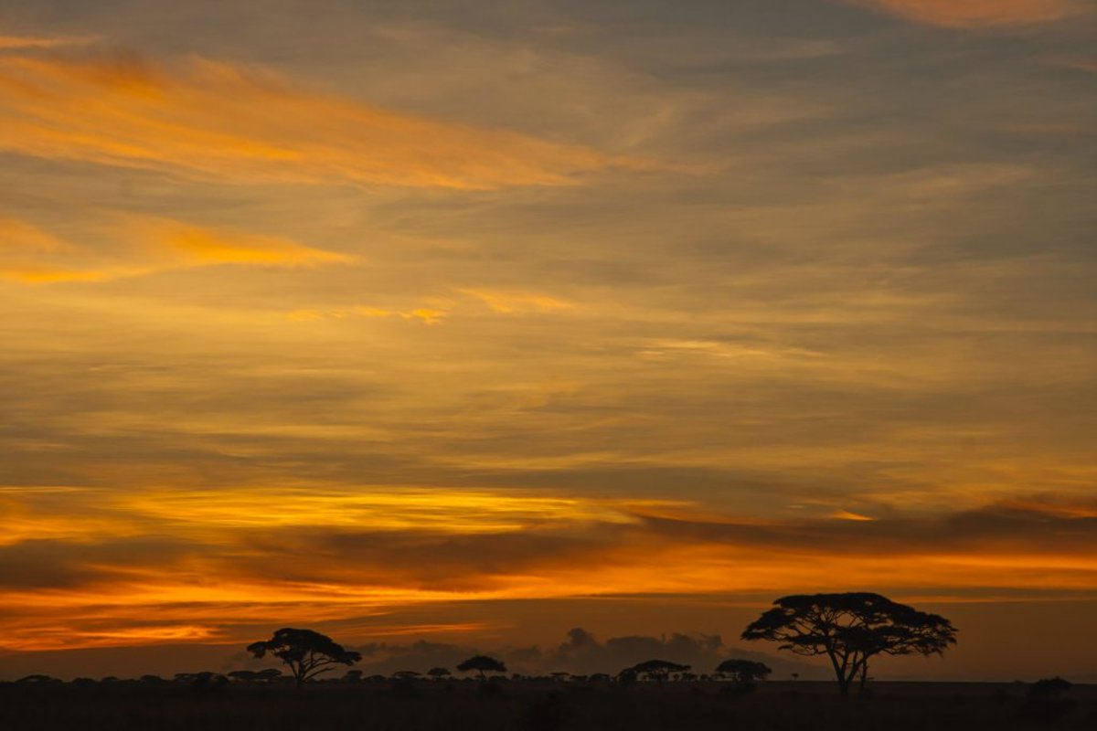 Sunset over Serengeti, best time for a safari in Tanzania