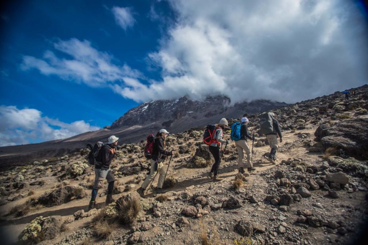Climbing Kilimanjaro via Machame Route