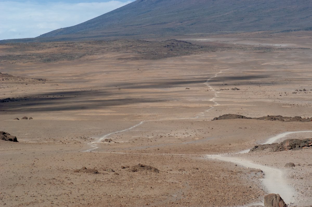 Footpath through the alpine desert on the Rongai route