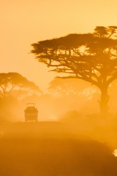 Tanzania Safari Category Image Square