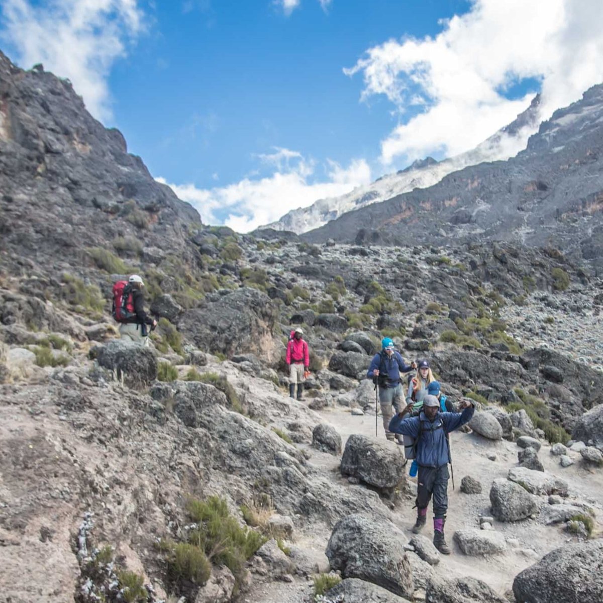 A line of trekkers on Kilimanjaro in the alpine desert band