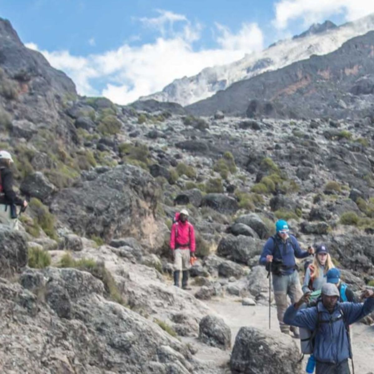 A line of trekkers on Kilimanjaro in the alpine desert band