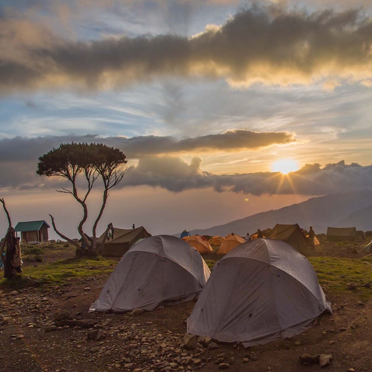 Sunrise at Shira Camp on Kilimanjaro