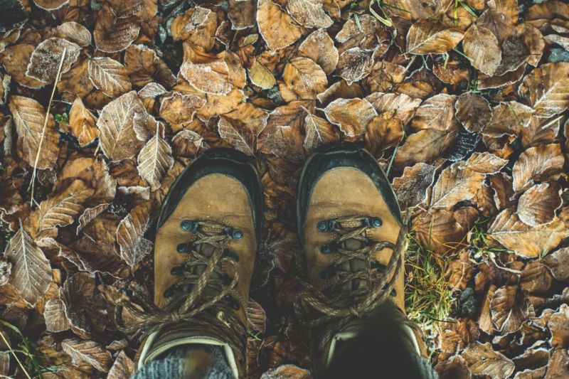 Hiking boots and leaves