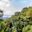 Ours. Treetop canopy walk in Nyungwe National Park, Rwanda (1)