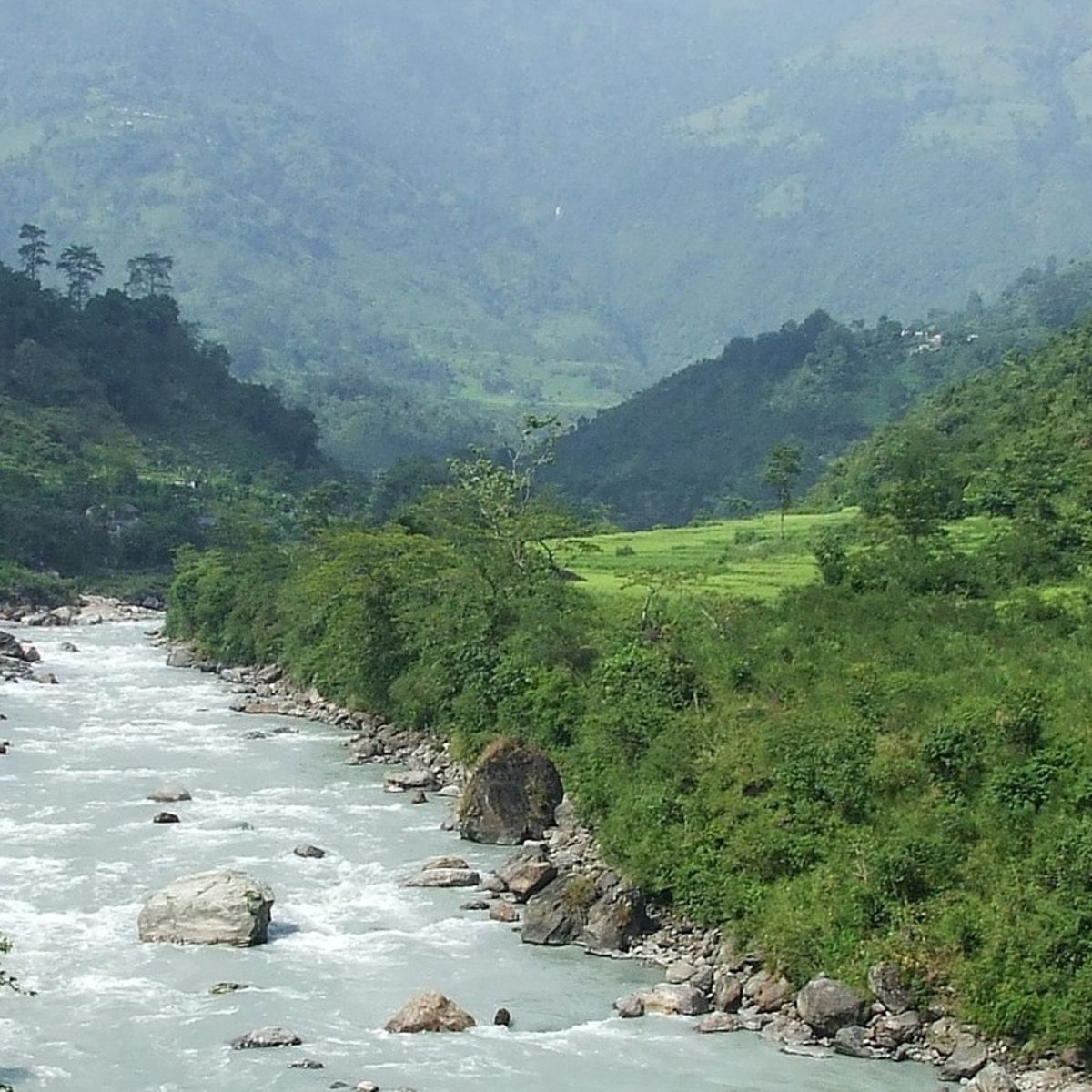 River in lush valley of Annapurna mountains