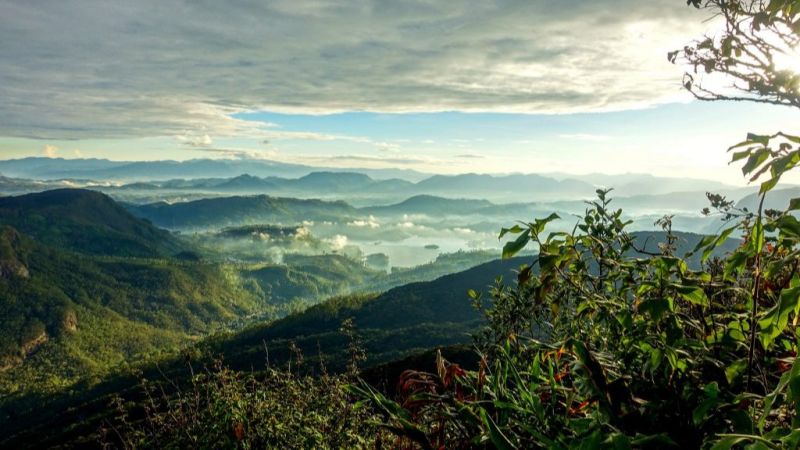 View from Adam's Peak in Sri Lanka