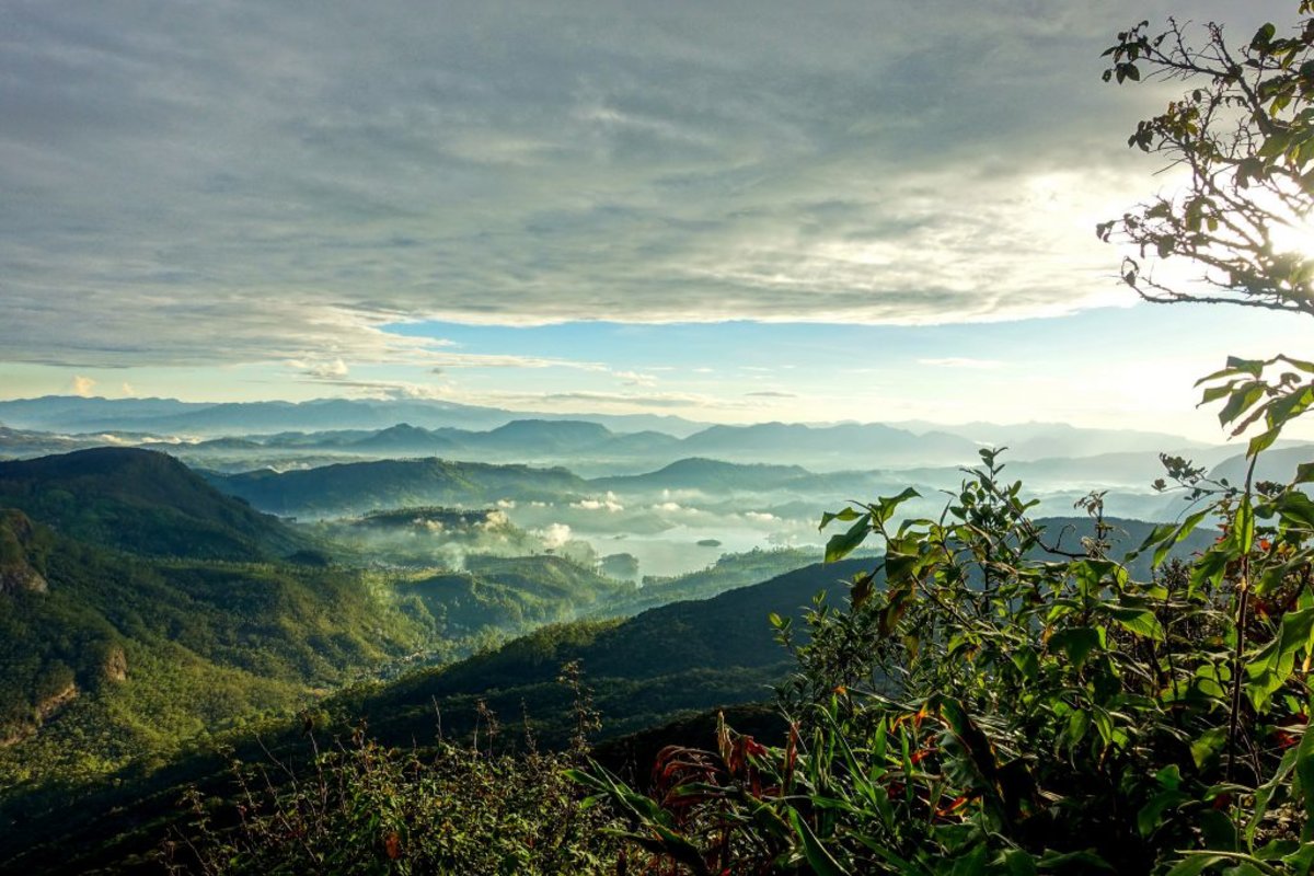 View from Adam's Peak in Sri Lanka