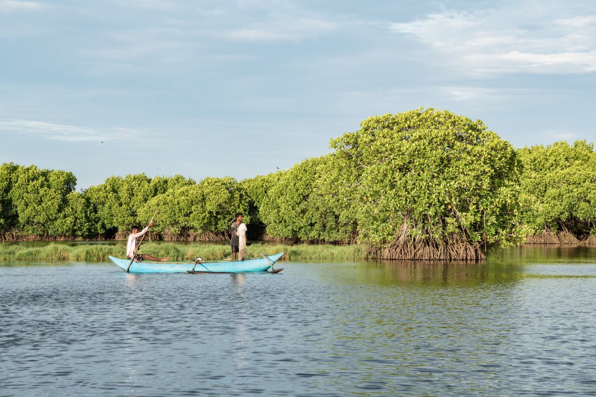 Sri Lanka lagoon safari in Pottuvil