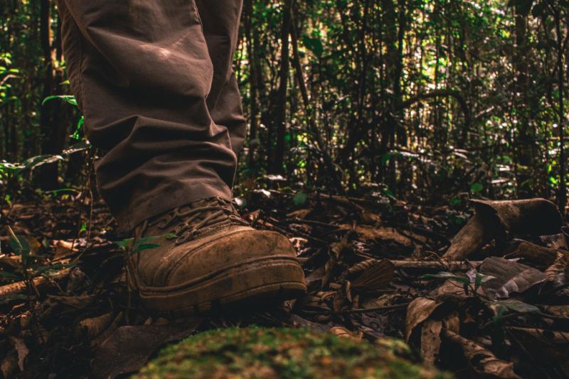 close up of man's feet in hiking boots walking over dead leaves among trees