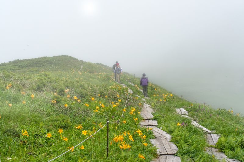 Trekkers walking across field with mist
