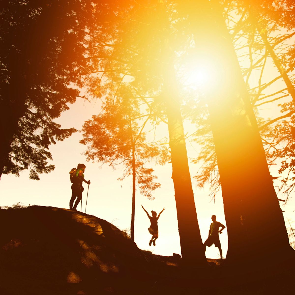 Hikers in low light among trees happy