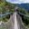 Ours. S. Canopy walkway Nyungwe Forest National Park Rwanda