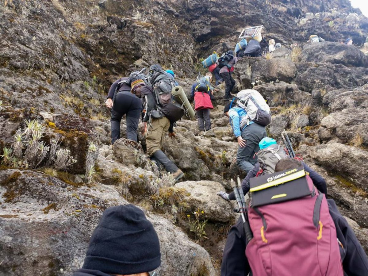 Trekkers climbing the Barranco Wall on Kilimanjaro