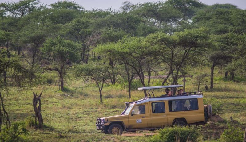 Safari-car-with-people-in-serengeti-1024x593.jpg