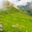 Ours. S. Tibetan Nar village, Annapurna Conservation Area, Nepal