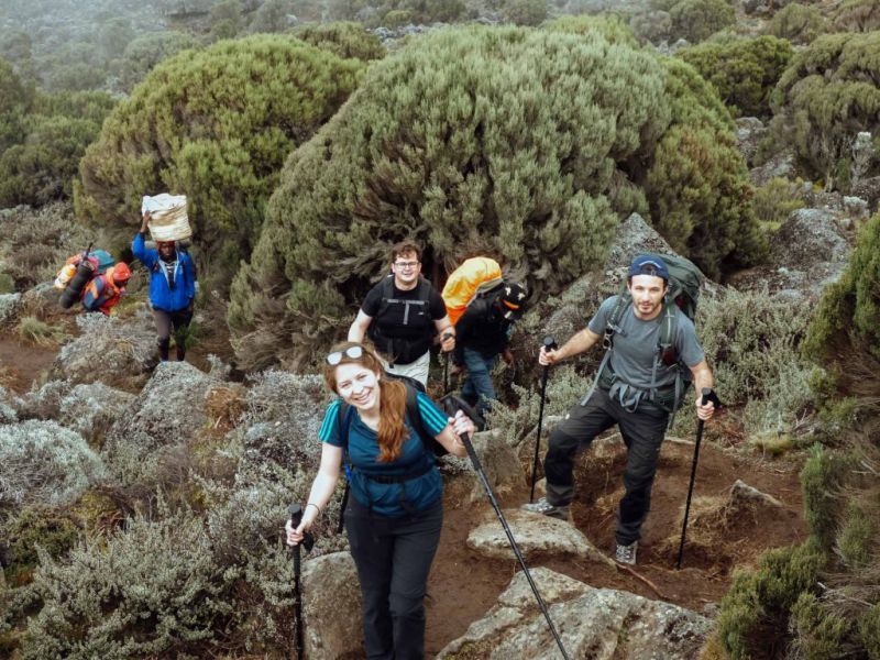 Happy trekkers with trekking poles climbing in the moorland zone of Mt Kilimanjaro