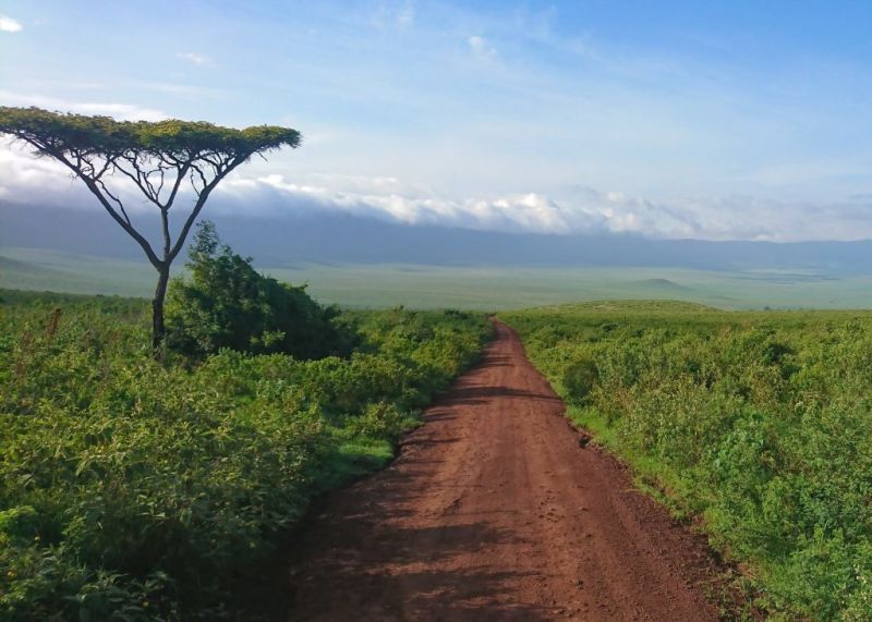 dirt road running through Ngorongoro Crater with crater wall in the distance