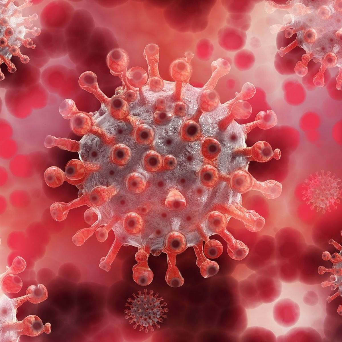 View of coronavirus on cellular level