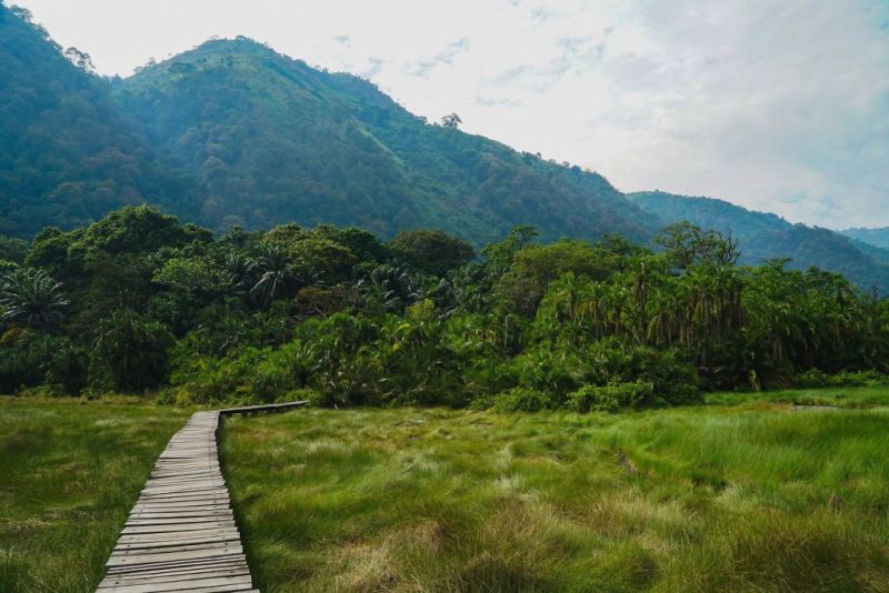 Wooden boardwalk inside Semuliki National Park in western Uganda | Top 20 things to do in Uganda