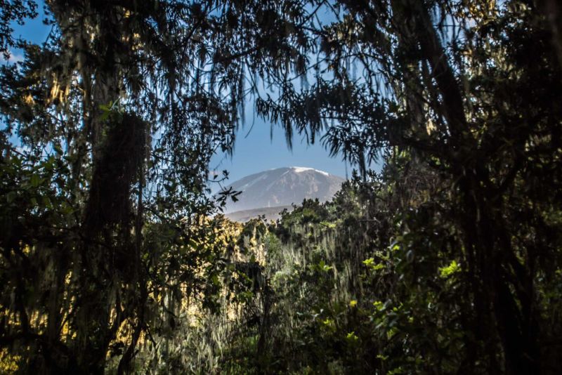 Rainforest Kilimanjaro routes
