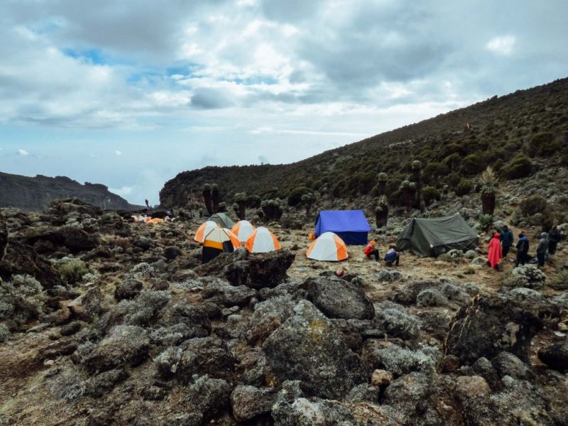 Lots of tents in campsite in moorland section of Kilimanjaro