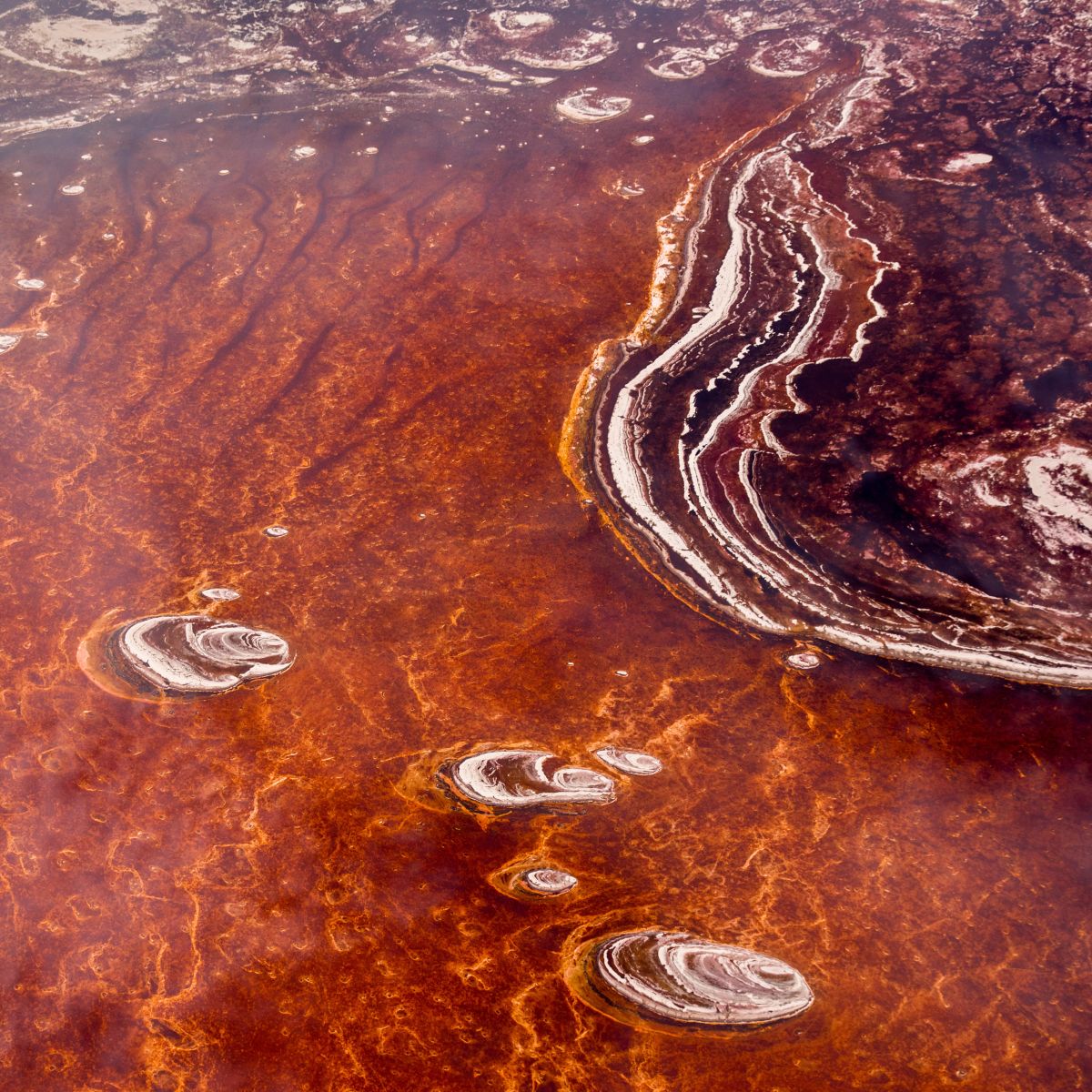 Red water of Lake Natron as seen from space