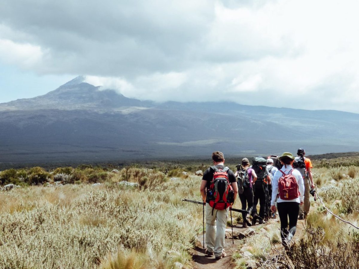 Open view on Kilimanjaro climb